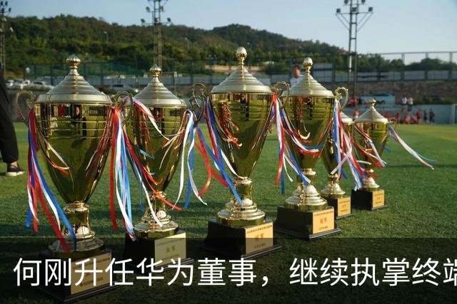 何刚升任华为董事，继续执掌终端BG