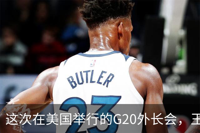 这次在美国举行的G20外长会，王毅外长不去，拉夫罗夫已经去了！